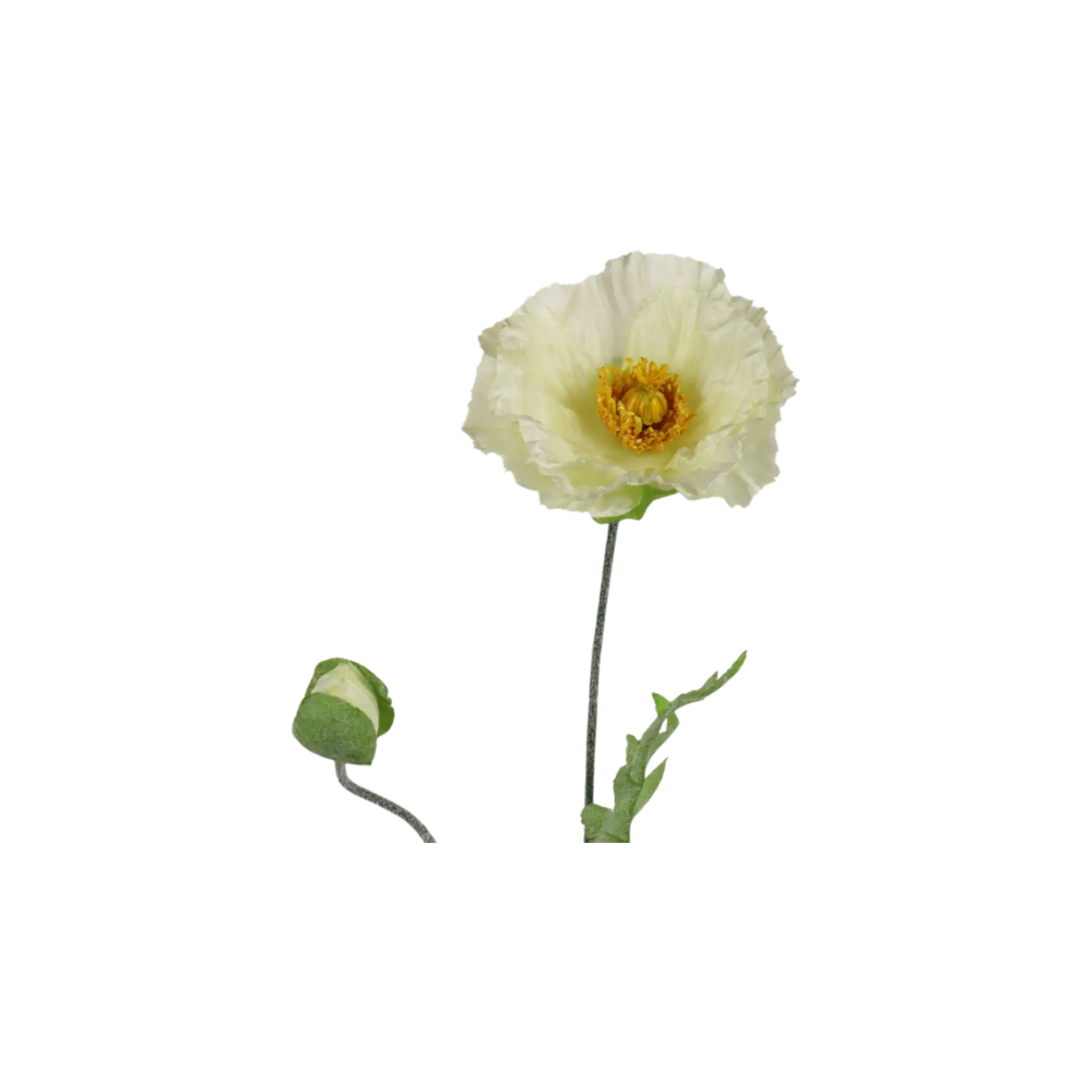 Tige de Pavot 27½" Maison Olive