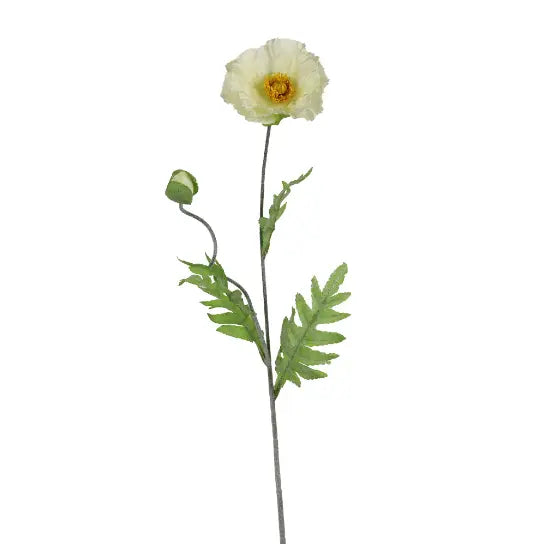 Tige de Pavot blanche 27½" Maison Olive