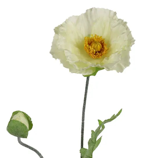 Tige de Pavot blanche 27½" Maison Olive