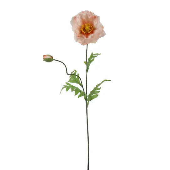 Tige de Pavot rose 27½" Maison Olive