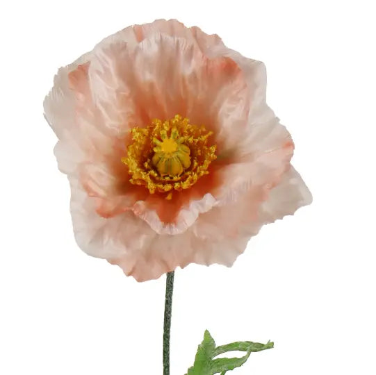 Tige de Pavot rose 27½" Maison Olive