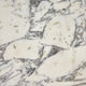 Veined White Marble