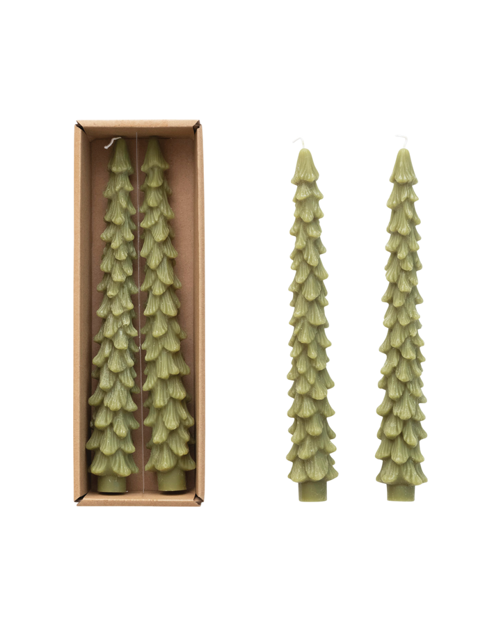 BOUGIES en sapin élégantes – Lot de 2  Maison Olive