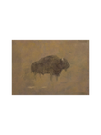 Bison