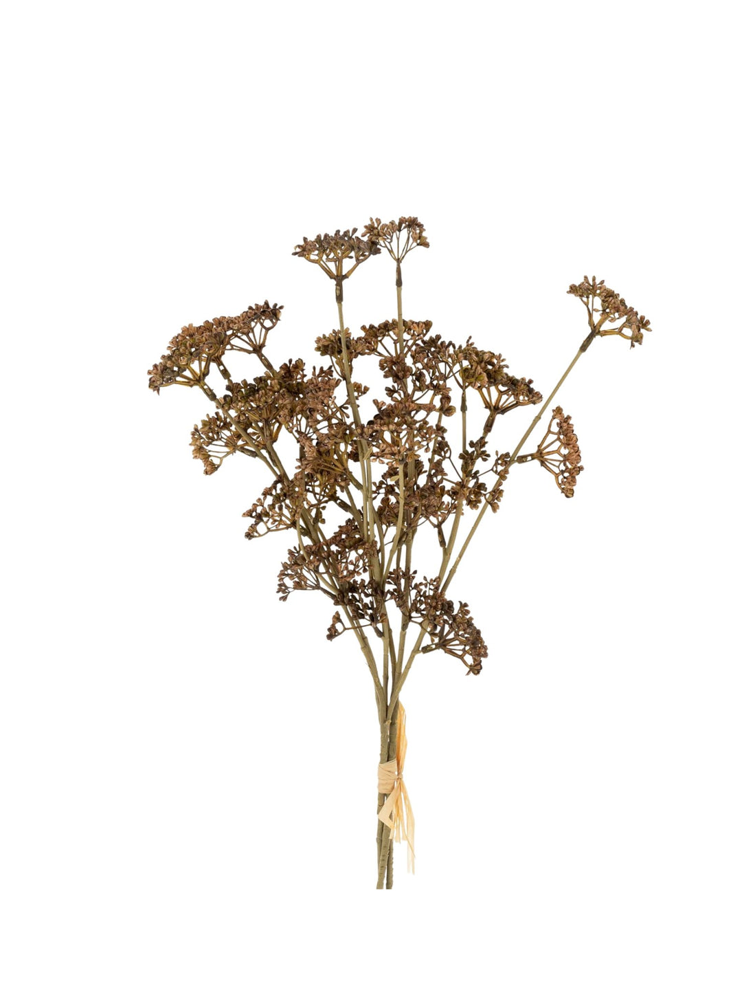 Bouquet herbes de sedum - Brun - Maison Olive - Branches artificielles