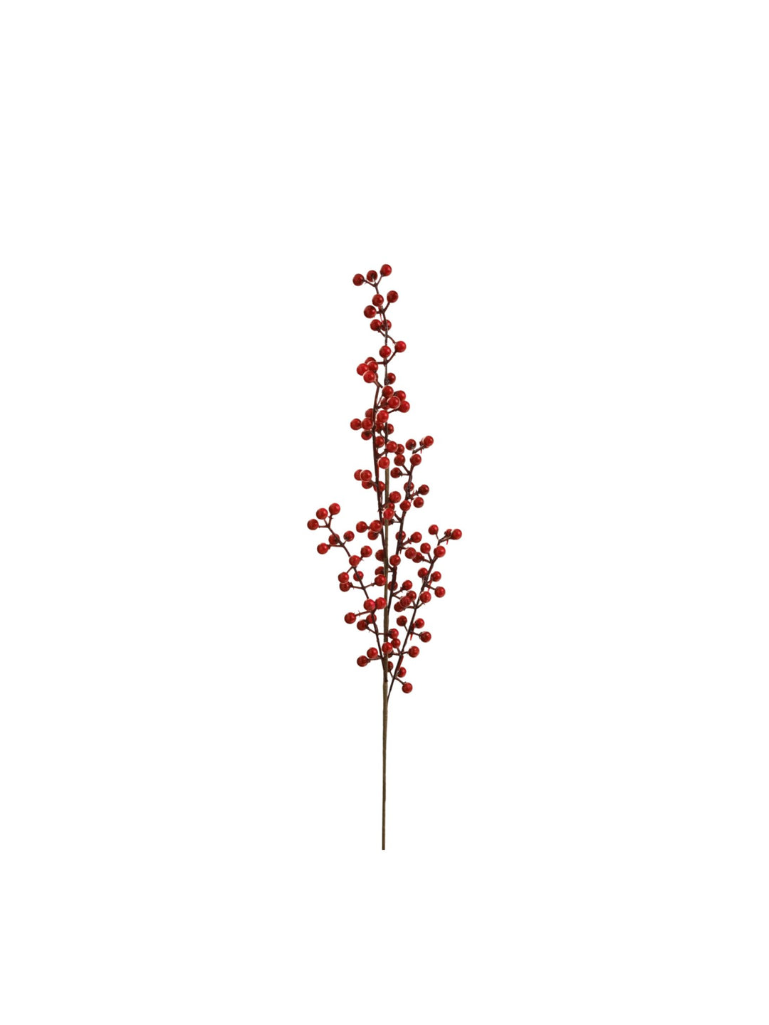 Branche de Baies Rouge - Maison Olive - 