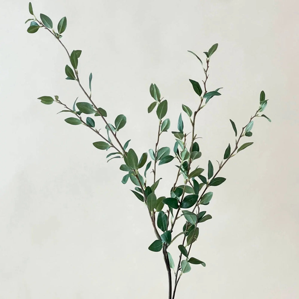 Branche de verdure 48" - Maison Olive - Branches artificielles
