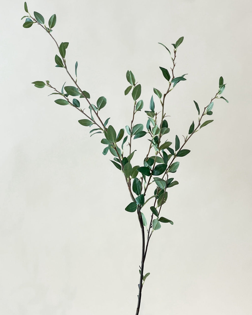 Branche de verdure 48" - Maison Olive - Branches artificielles