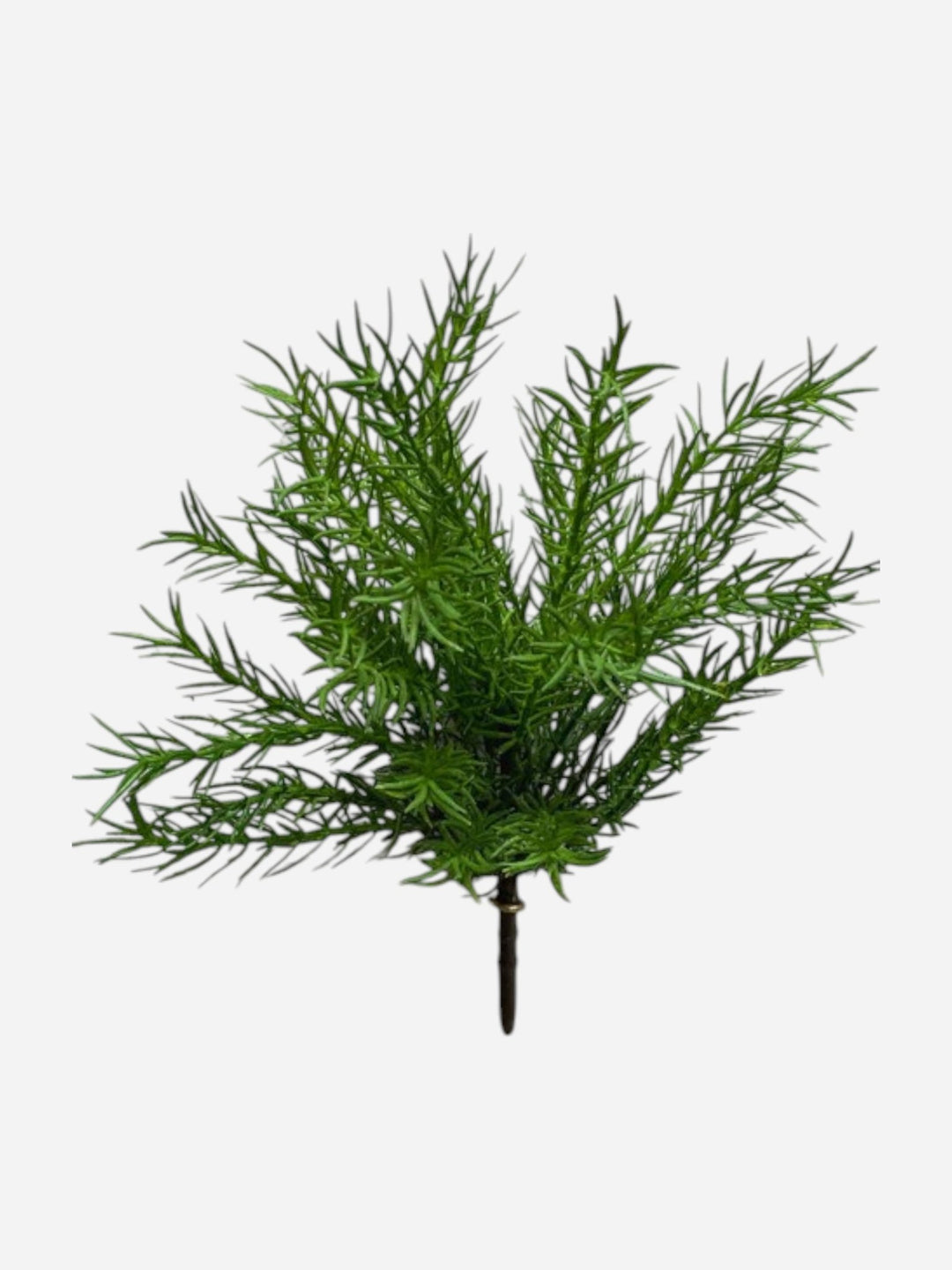 Buisson d'asparagus 13.5'' - Maison Olive - Fausse plante