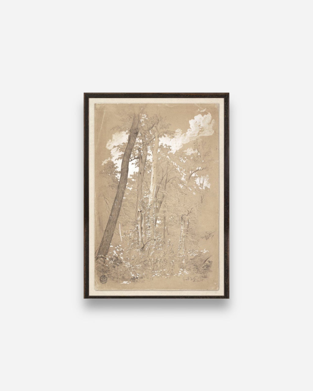 COLLECTION 23 – CHESTNUT TREES, NIAGARA RIVER C. 1858 - Maison Olive - Tableaux et Cadres