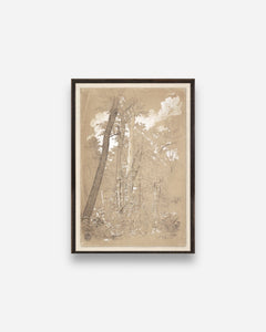 COLLECTION 23 – CHESTNUT TREES, NIAGARA RIVER C. 1858 - Maison Olive - Tableaux et Cadres