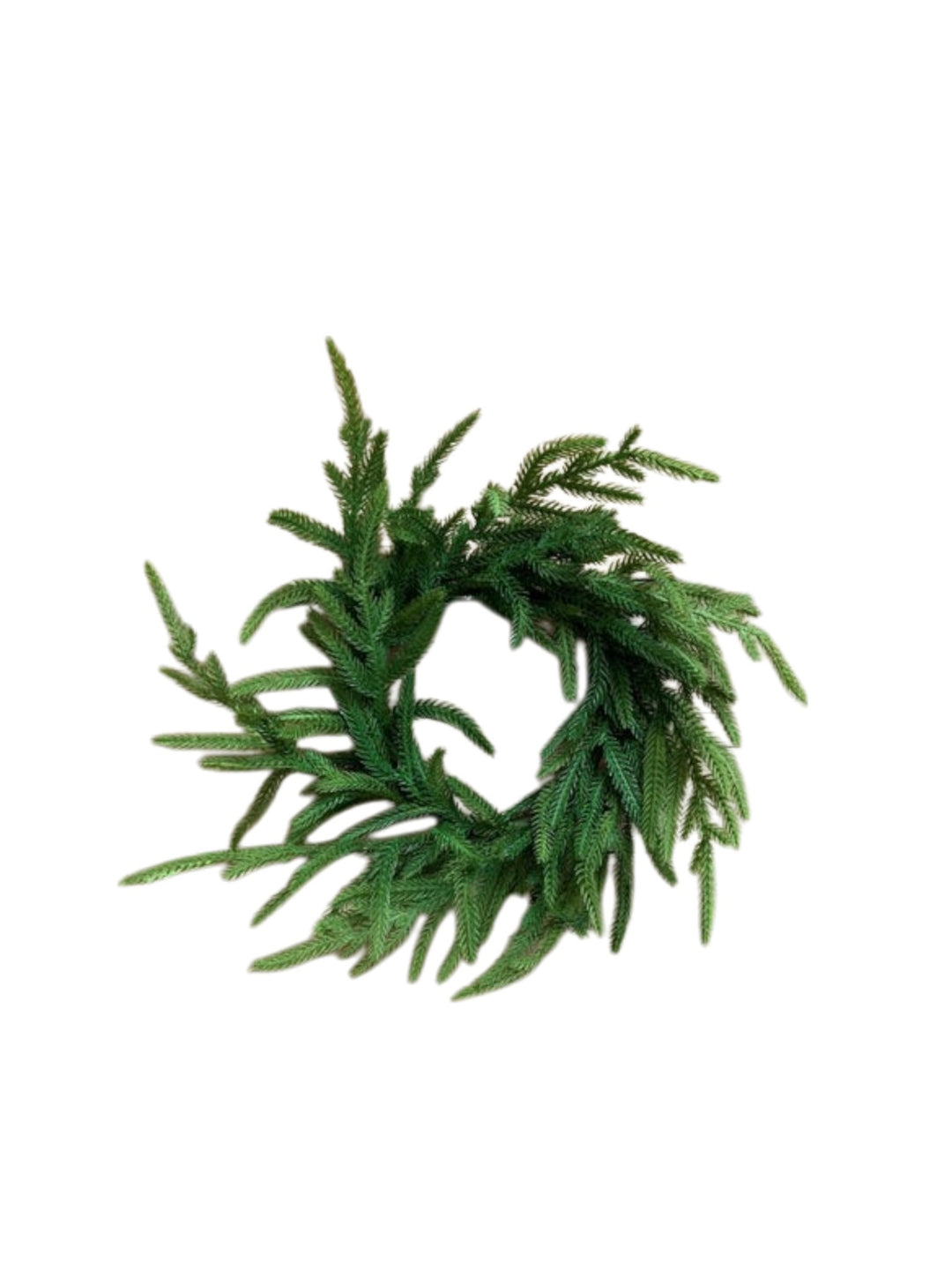 Couronne De Pin Norfolk 16" - Maison Olive - Branches artificielles