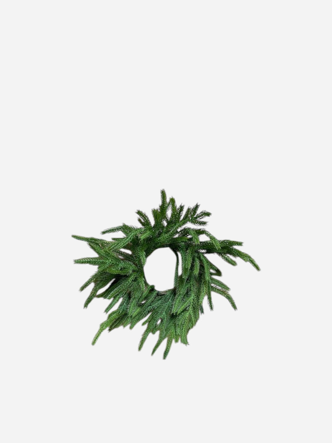 Couronne pour chandelle Pin Norfolk 5" - Maison Olive - Couronnes