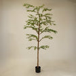SHADY LADY Arbre Artificiel 8'