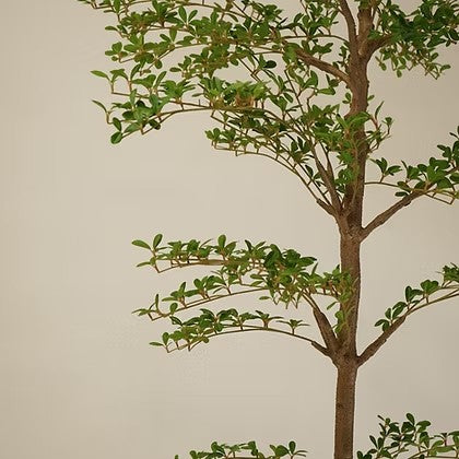 Arbre artificiel Maison Olive au feuillage vert fin et tronc texturé réaliste pour une décoration intérieure élégante.