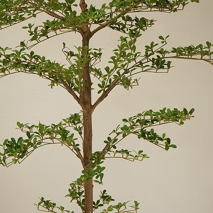 Arbre artificiel Maison Olive au feuillage vert profond et tronc texturé réaliste pour une décoration intérieure