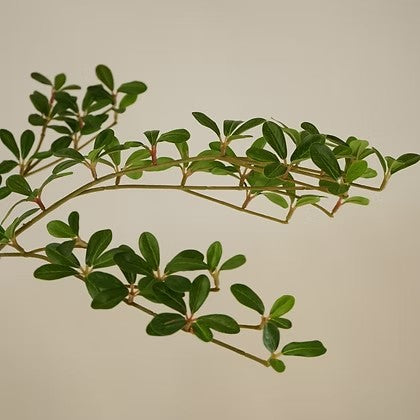 Branches d'arbre artificiel Maison Olive au feuillage vert réaliste et fin pour une décoration intérieure élégante.
