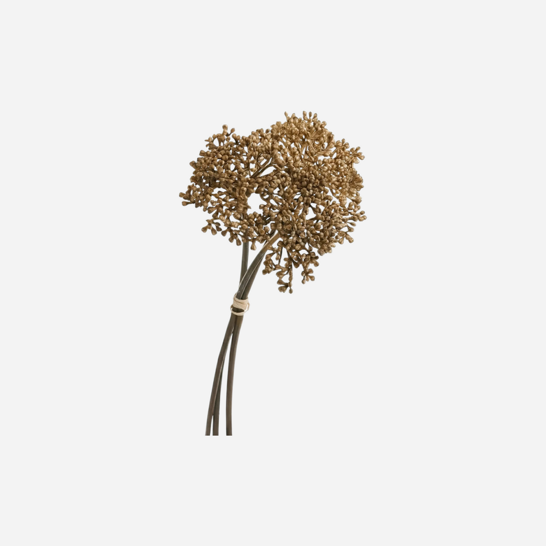 Bouquet de fleurs séchées Maison Olive aux inflorescences délicates couleur bronze doré pour décoration intérieure