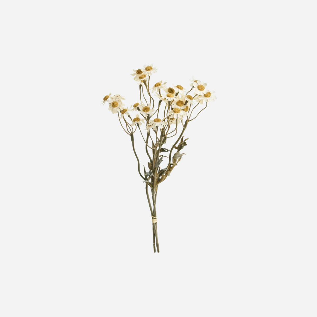 Bouquet de marguerites artificielles Maison Olive aux pétales blancs et cœurs ocre pour une décoration champêtre