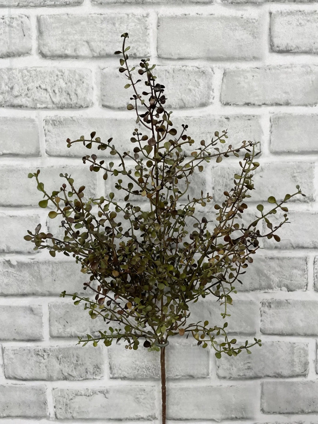Branche décorative artificielle Maison Olive avec petites feuilles rondes aux nuances vert olive et pourpre sur fond brique