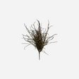 24" Fall Grass Bush 