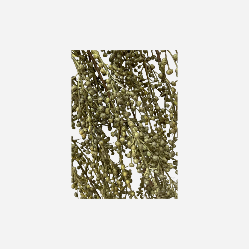 Branche décorative séchée Maison Olive avec de petites baies vert olive pour une décoration intérieure naturelle