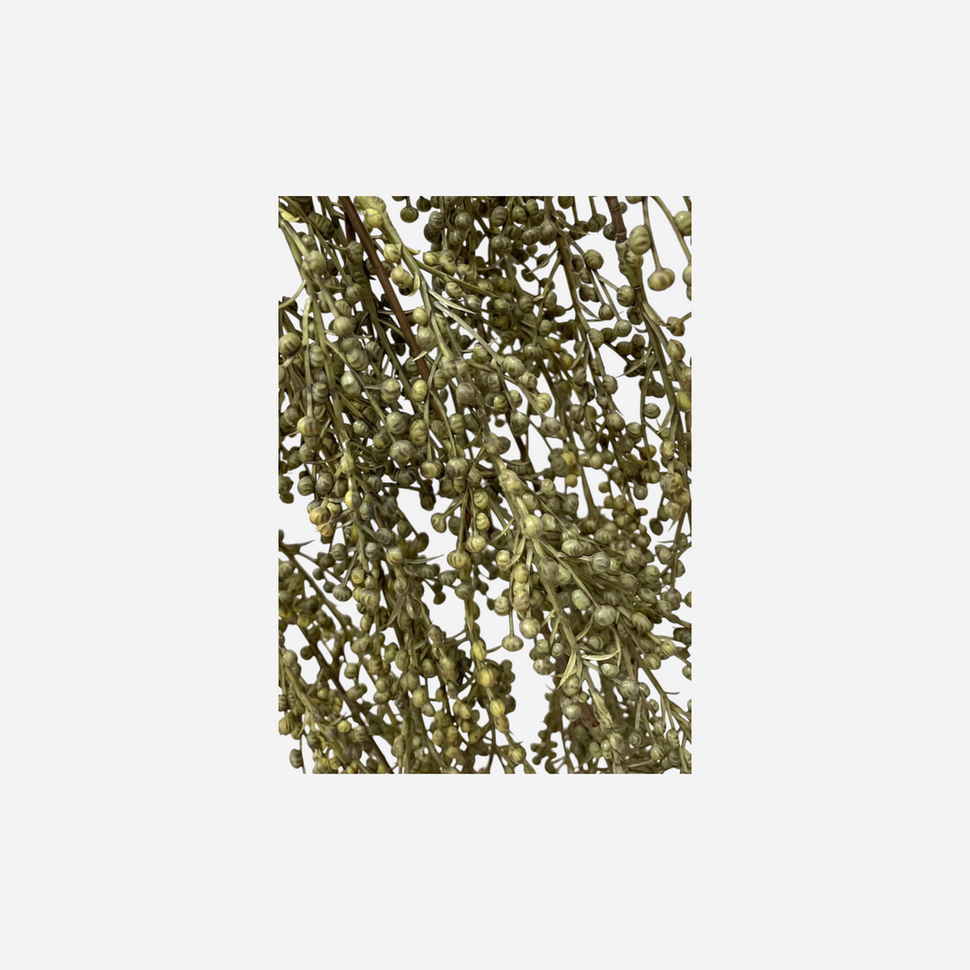 Branche décorative séchée Maison Olive avec de petites baies vert olive pour une décoration intérieure naturelle