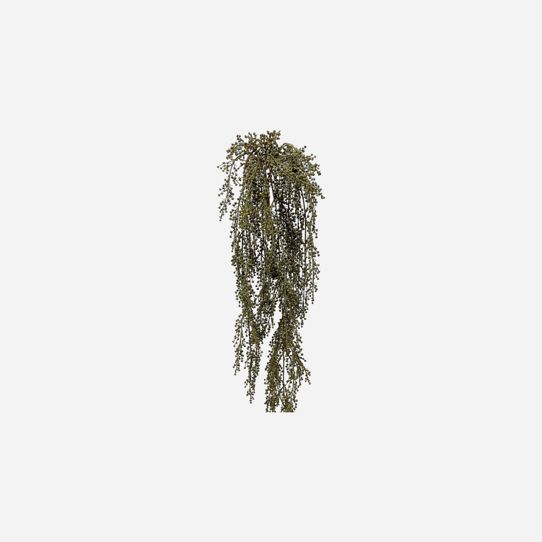 Branche décorative séchée Maison Olive avec de petites baies vert olive, idéale pour une décoration bohème naturelle.