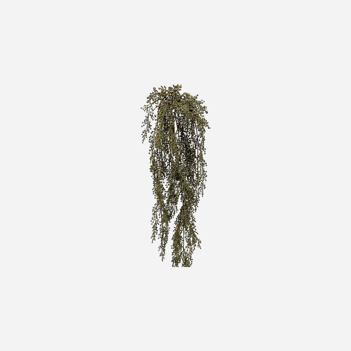 Branche décorative séchée Maison Olive avec de petites baies vert olive, idéale pour une décoration bohème naturelle.
