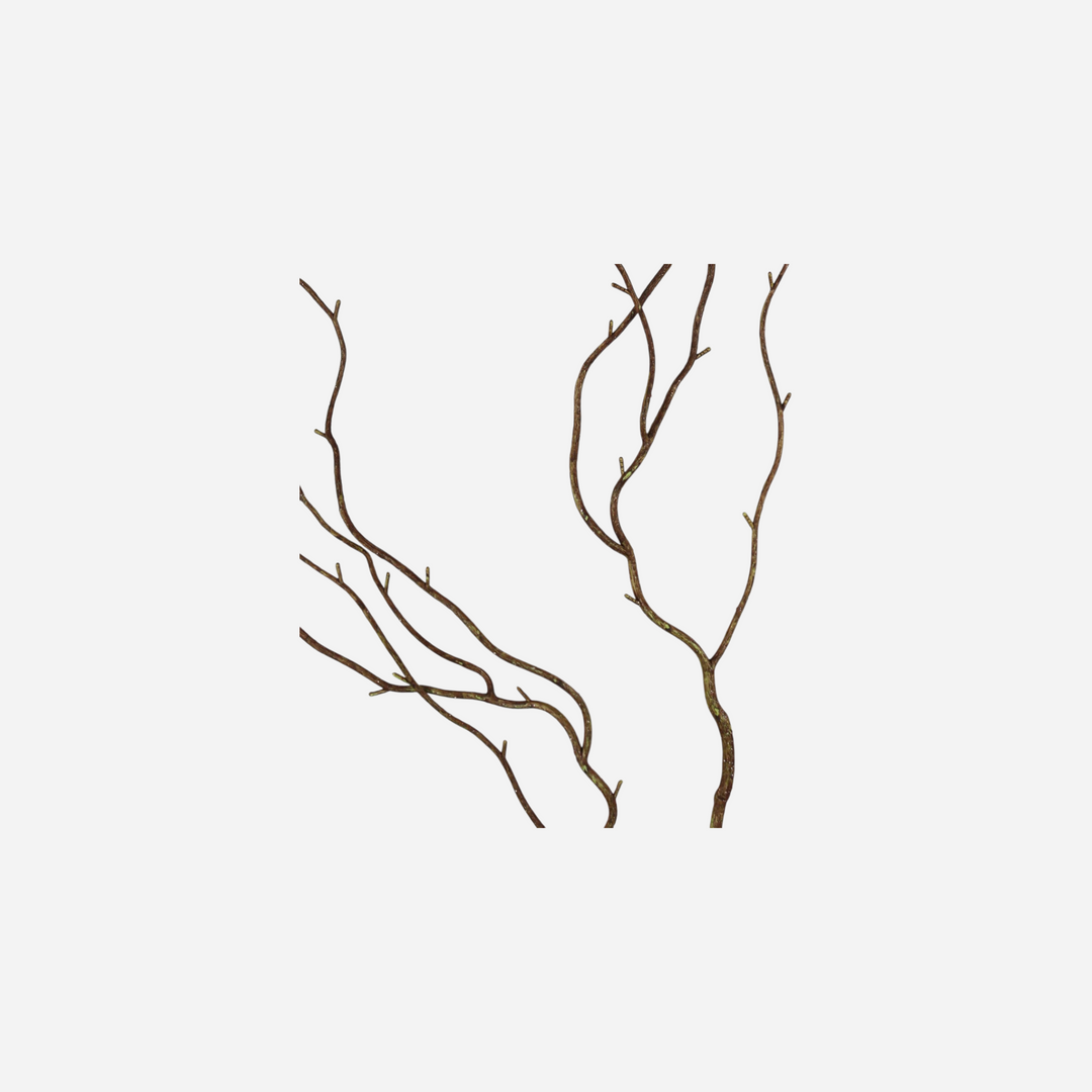 Grande branche décorative Maison Olive en bois naturel brun pour vase, design organique et sculpturale
