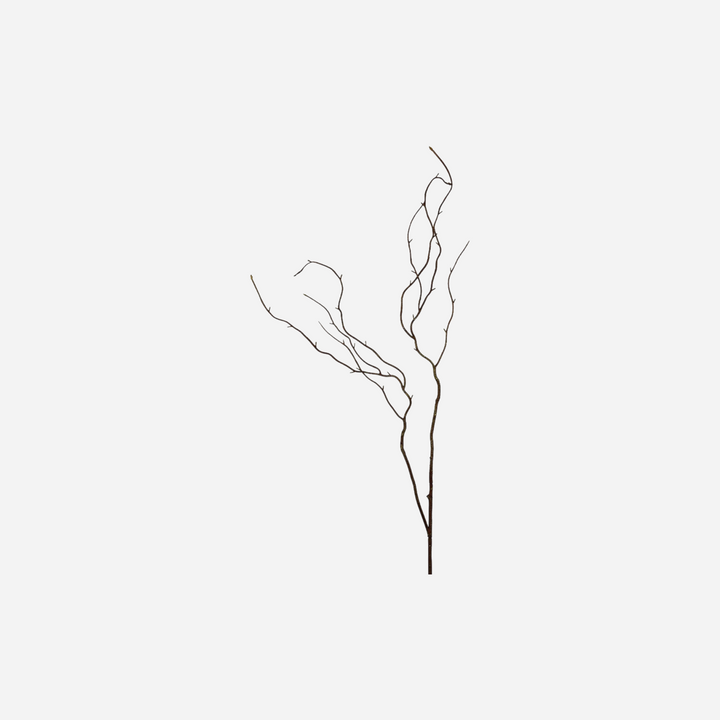 Grande branche décorative Maison Olive en bois naturel brun pour vase, style organique et minimaliste