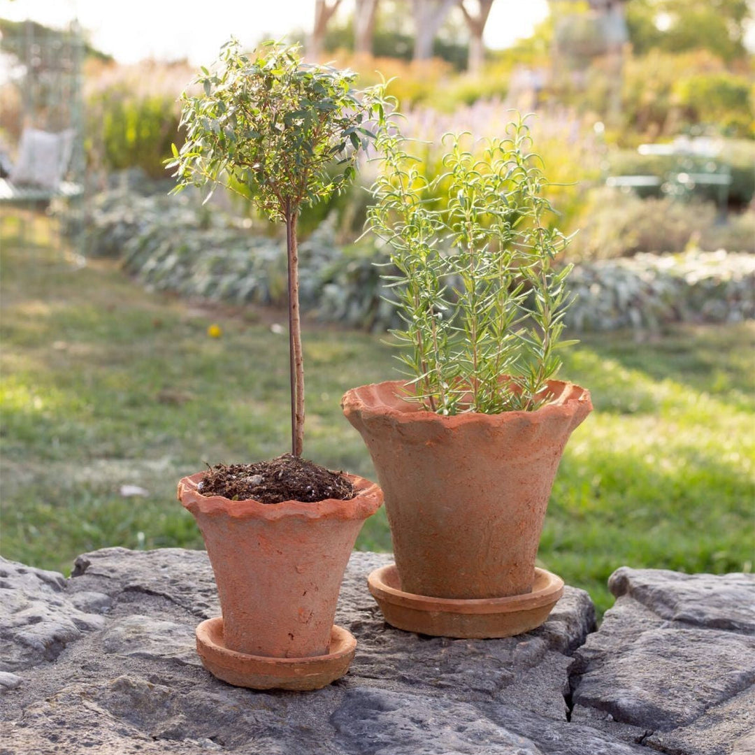 Maison Olive Pot LIZ en terre cuite naturelle avec bord froncé, idéal pour plantes d'intérieur.