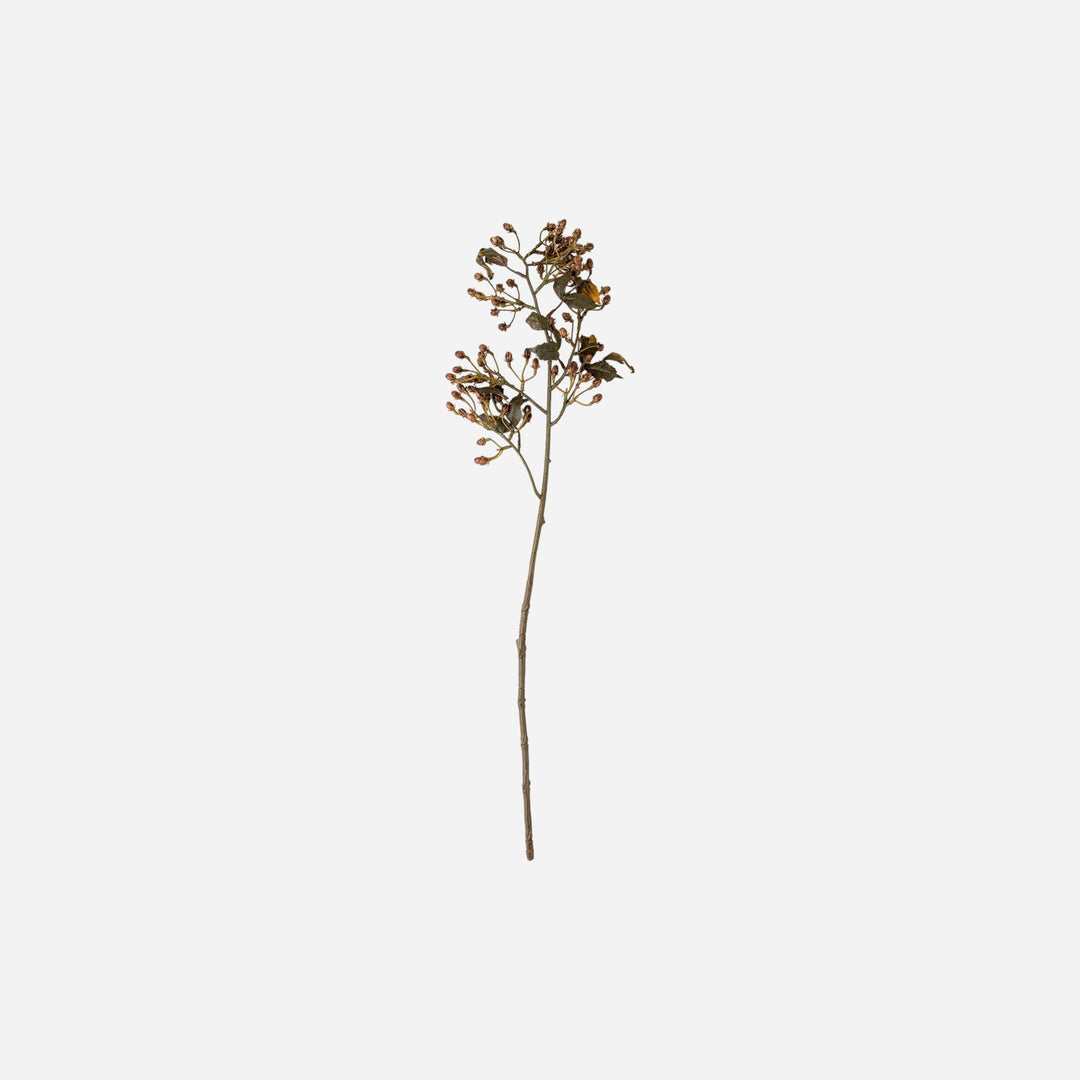 Tige d'hypericum artificielle Maison Olive avec grappes de boutons réalistes et feuilles sombres sur fond beige