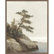 Northern Scene – Leaning Tree by the Lake