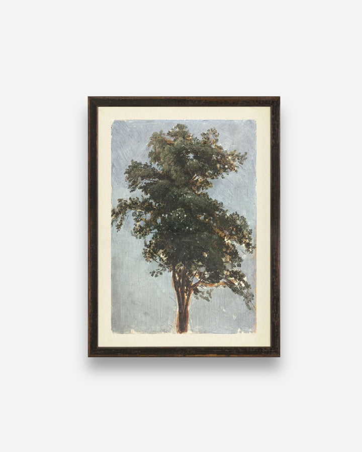 TREE STUDY, 1855 - Maison Olive - Tableaux et Cadres