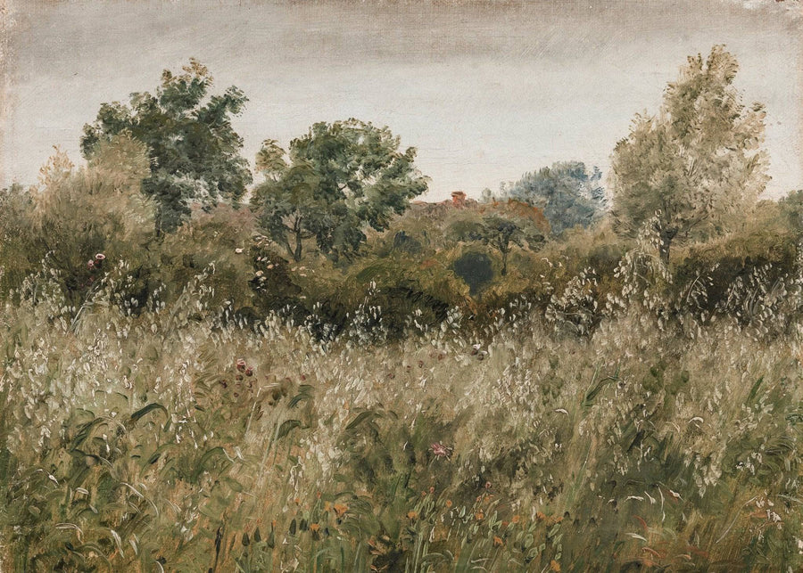 Paysages