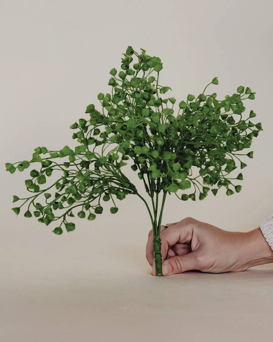 13" BABY TEARS BUSH X 5 - Maison Olive - Plantes artificielles