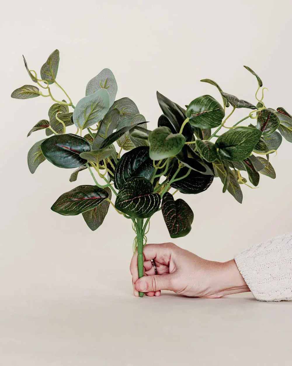 15" RED GREEN MINI FITTONI BUSH X7 - Maison Olive - Plantes artificielles