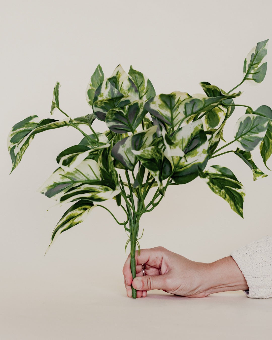 15" WHITE GREEN POTHOS BUSH - Maison Olive - Plantes artificielles