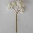 White Sedum Branch