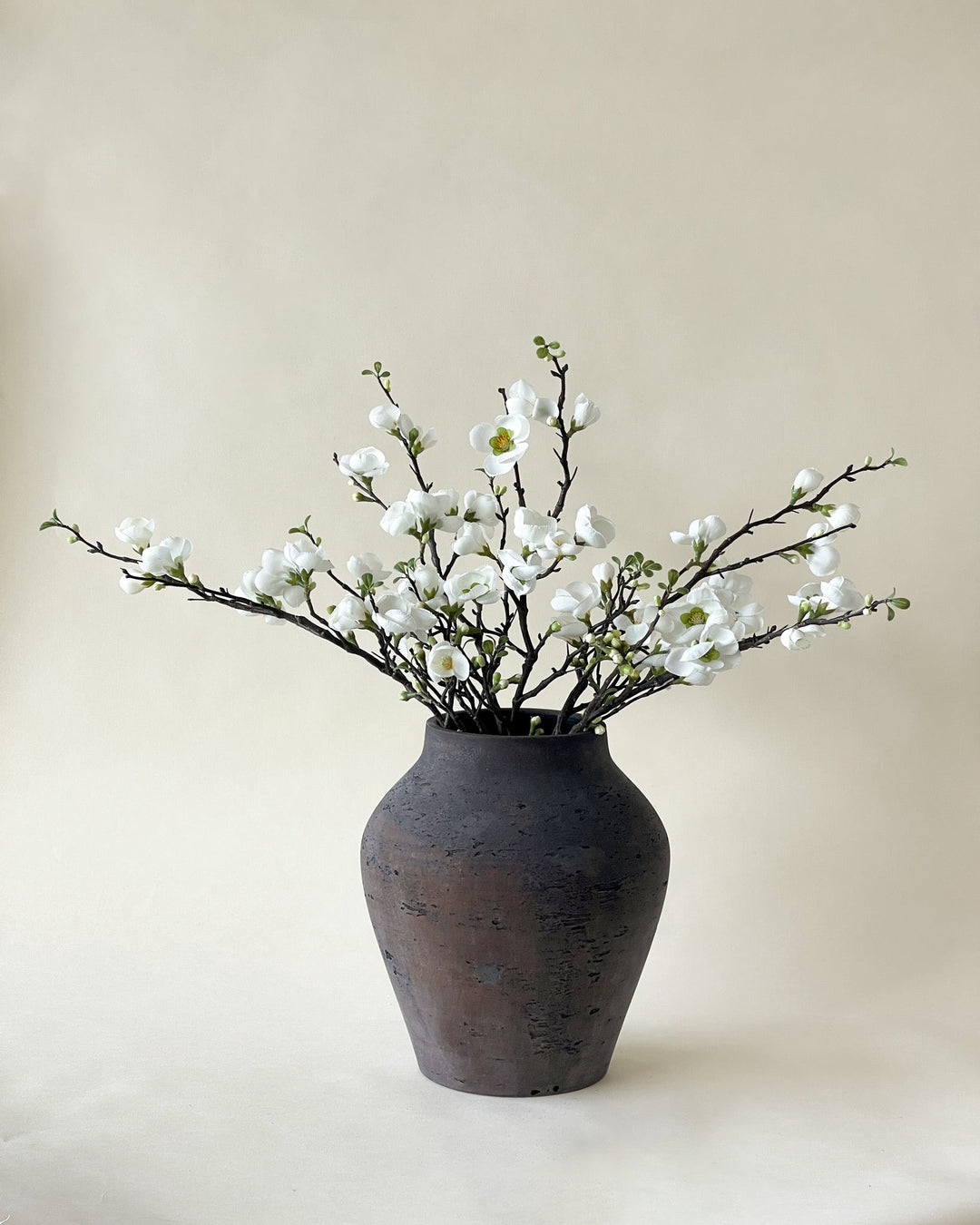 AMPHORIE Vase - Maison Olive - Vases