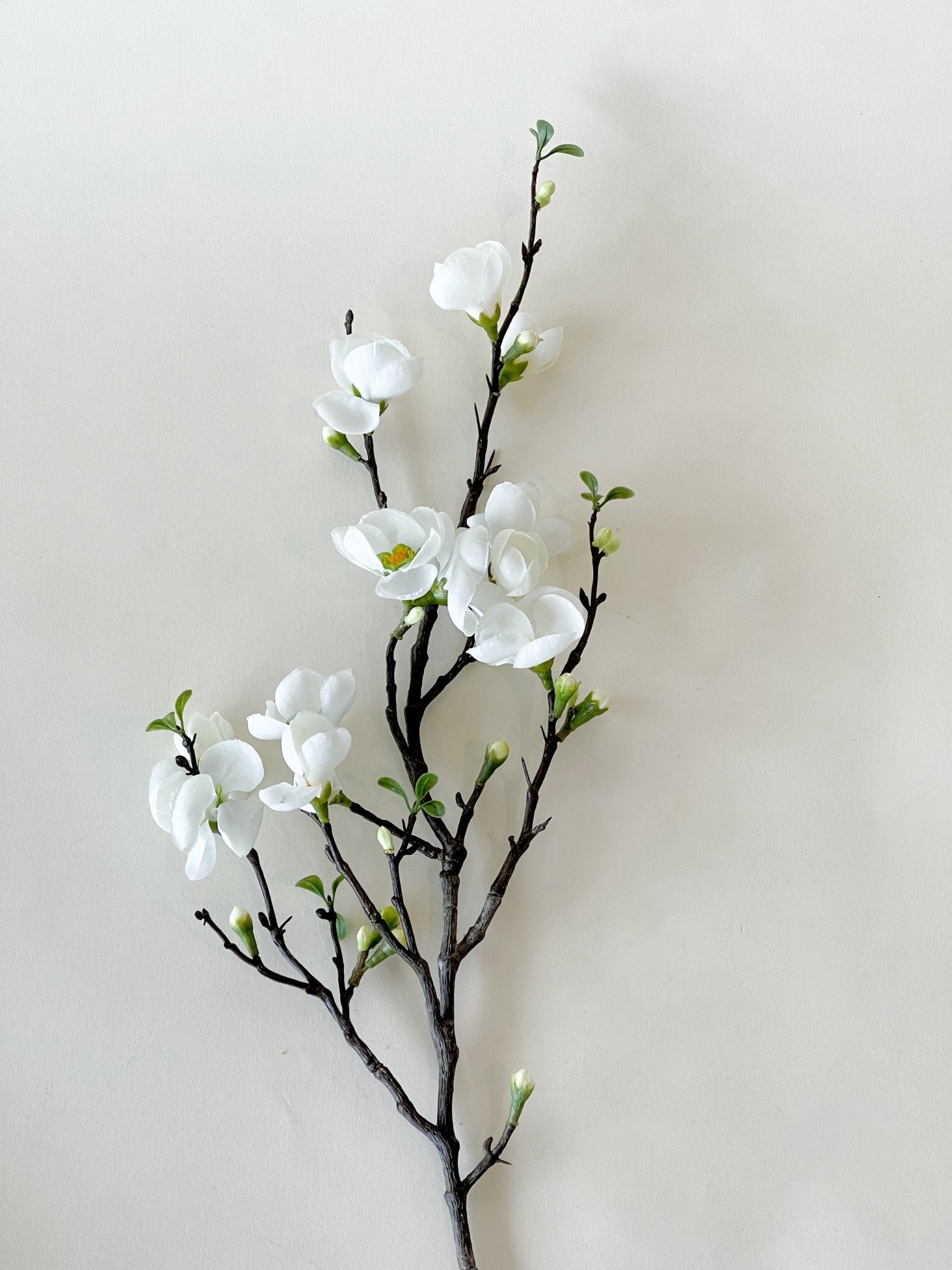 Branche de cerisier - Maison Olive - Fleurs artificielles