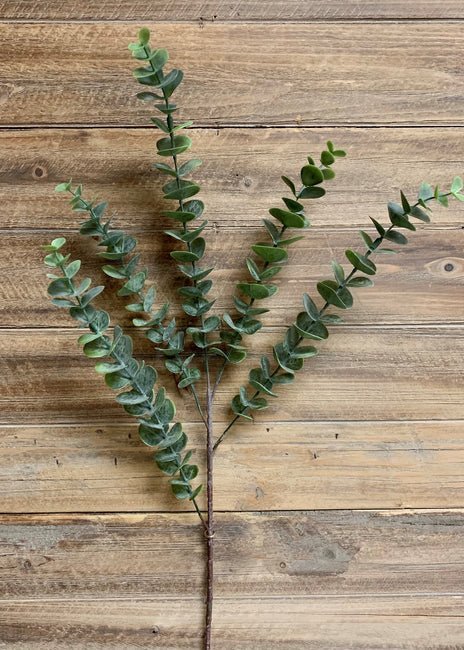 Branche d'eucalyptus À 5 Tiges - Maison Olive - Branches artificielles