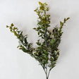 Branche EUONYMUS 26''
