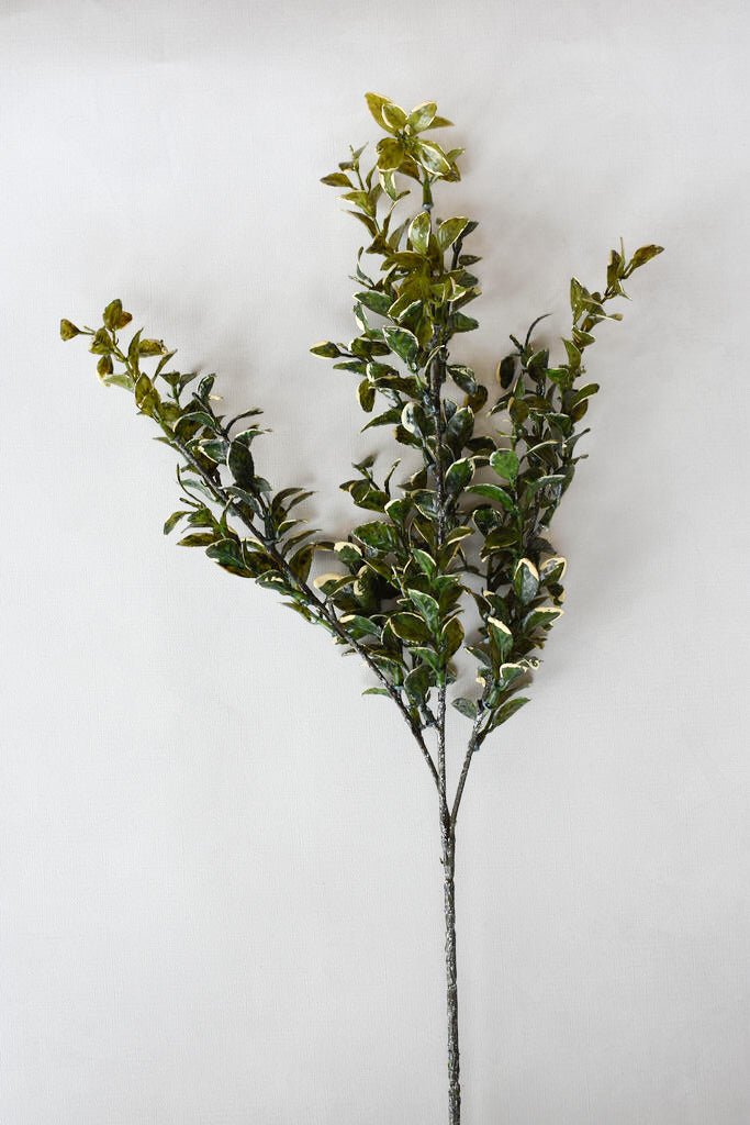 Branche EUONYMUS 26'' - Maison Olive - Branches artificielles