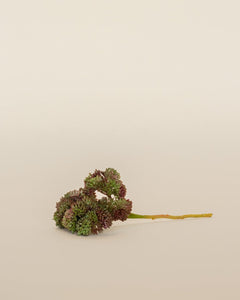 BURGUNDY GREEN FRESH TOUCH SEDUM PICK 9'' - Maison Olive - Fleurs artificielles