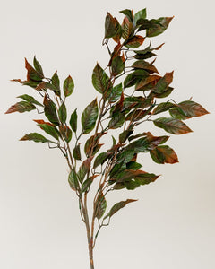 Ficus vert 35'' - Maison Olive - Fleurs artificielles
