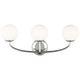 Polished Nickel