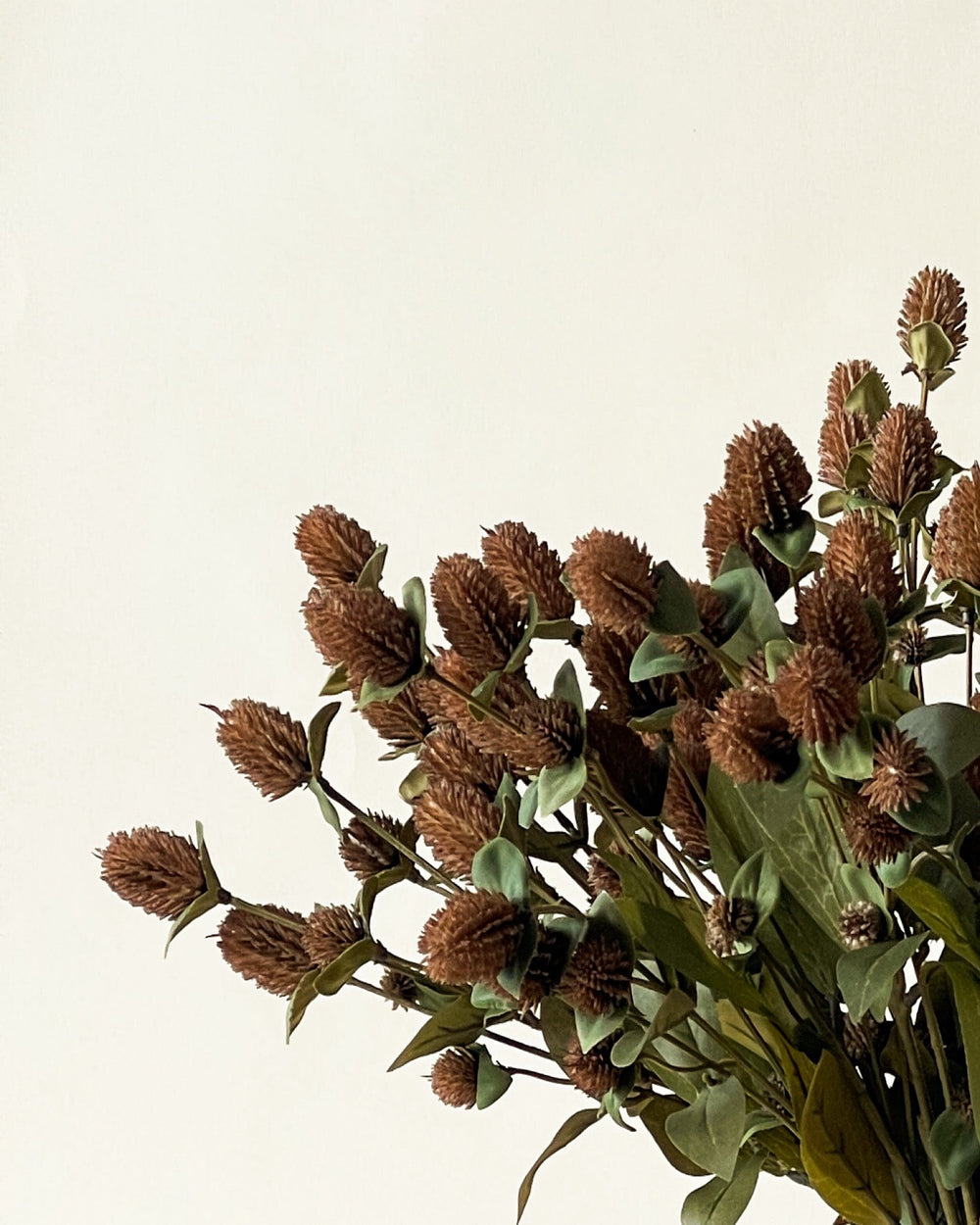 Globe Amaranth Spray - Maison Olive - Branches artificielles