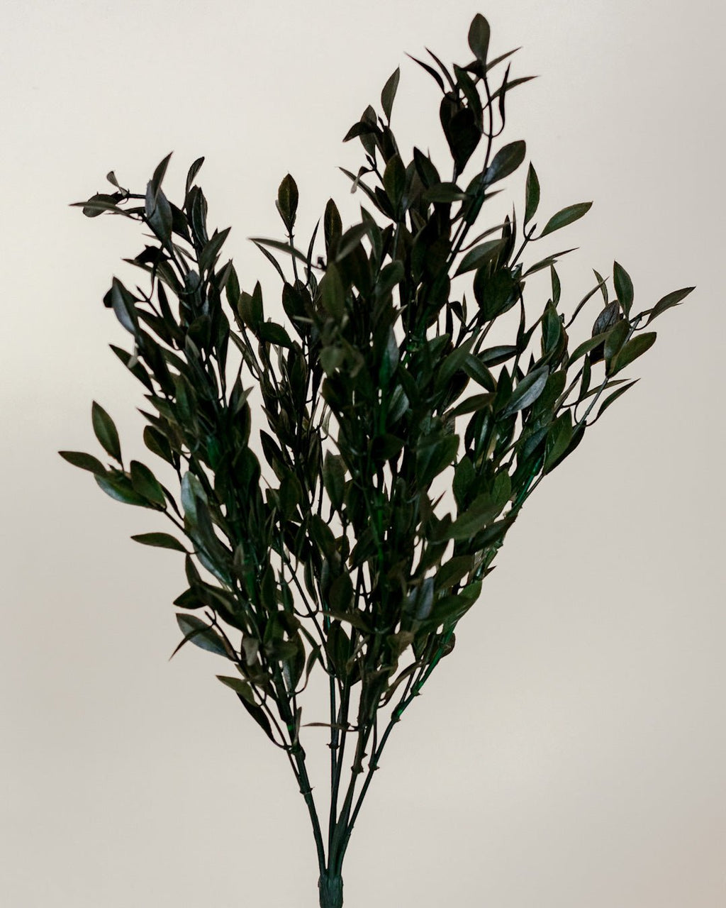 Green Willow 18'' - Maison Olive - Branches artificielles